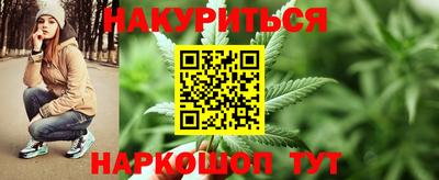 прущие крисы Нальчик