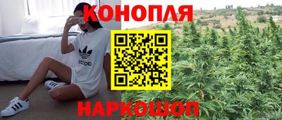 прущие крисы Нальчик