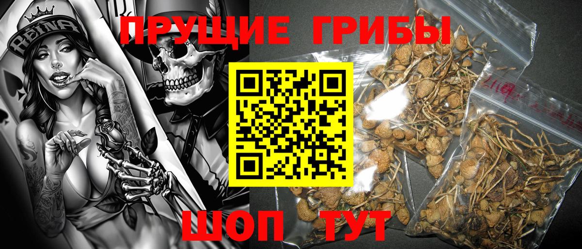 наркошоп  Елабуга  Галлюциногенные грибы GOLDEN TEACHER 