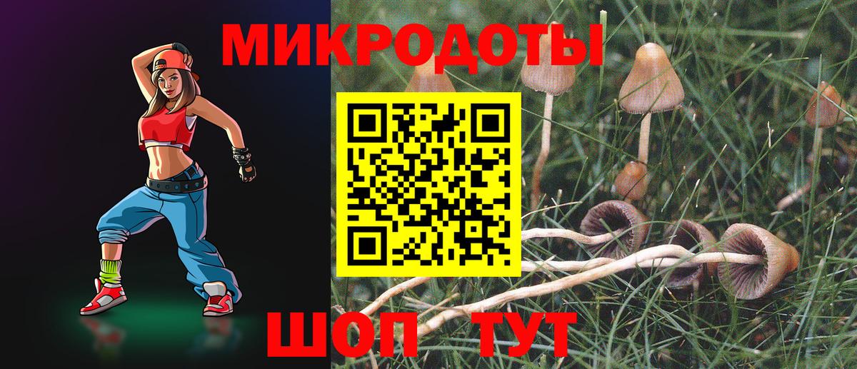 Галлюциногенные грибы MAGIC MUSHROOMS Елабуга